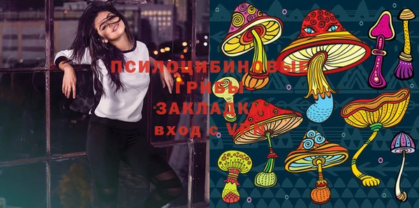 спайс Белокуриха