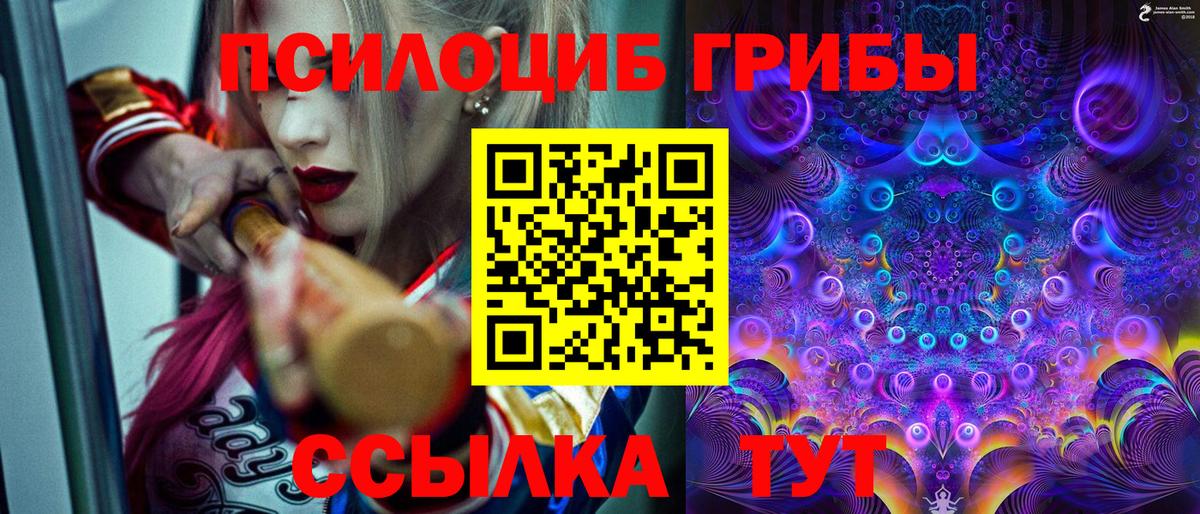 Псилоцибиновые грибы Cubensis Можайск