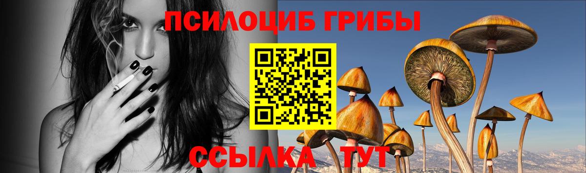 Можайск  Галлюциногенные грибы мухоморы  Вход с VPN 
